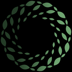 Holistic Health Audit Logo